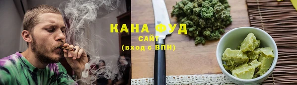 индика Бугульма